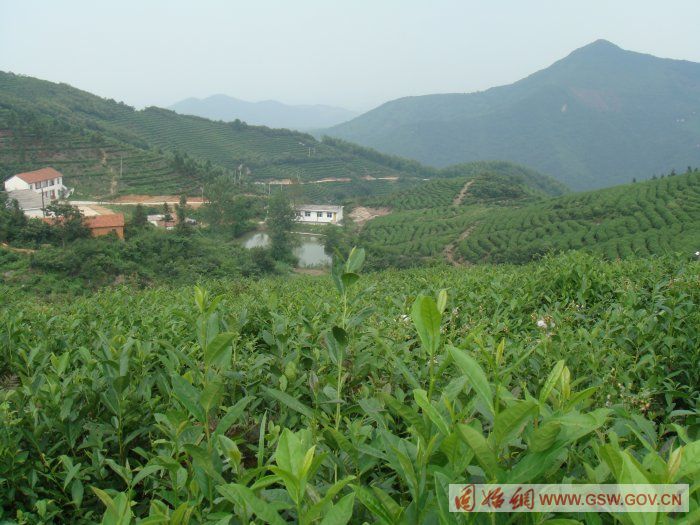 ����ʮ���̲�ҵ���޹�˾