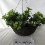 ��ʼ������ƷƷ��